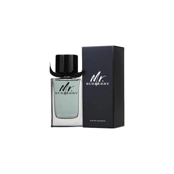 Mr Burberry EDT - 100ml